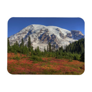 Íman WA, Parque Nacional Mt. Rainier, Vale do Paraíso