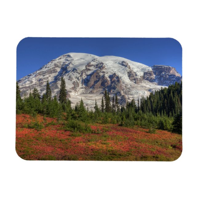 Íman WA, Parque Nacional Mt. Rainier, Vale do Paraíso (Horizontal)
