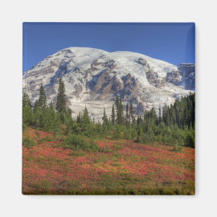 Íman WA, Parque Nacional Mt. Rainier, Vale do Paraíso