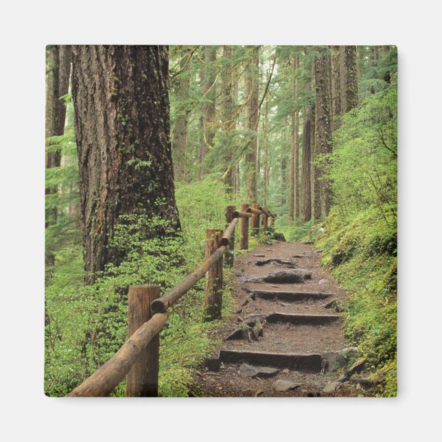 Íman WA, Parque Nacional Olímpico, Vale de Sol Duc, flo (Frente)