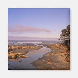 Íman WA, Parque Nacional Olympic, Praia Kalaloch e Kala