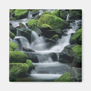 Íman WA, Parque Nacional Olympic, Vale de Sol Duc, riac
