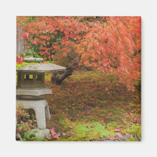 Íman WA, Seattle, Arboreto do Parque Washington, Japonê