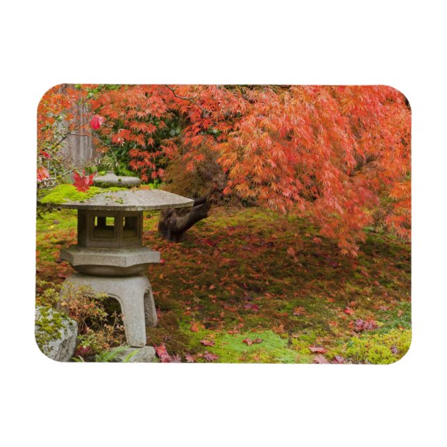 Íman WA, Seattle, Arboreto do Parque Washington, Japonê (Horizontal)