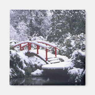 Íman WA, Seattle, Ponte da Lua e lago após o inverno