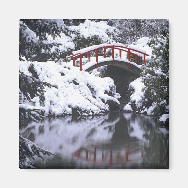 Íman WA, Seattle, Ponte da Lua e lago após o inverno 2 (Frente)
