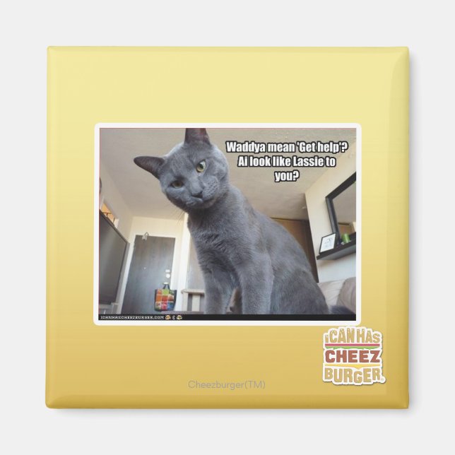 Íman Wadya quer dizer "Busca ajuda"? (Frente)