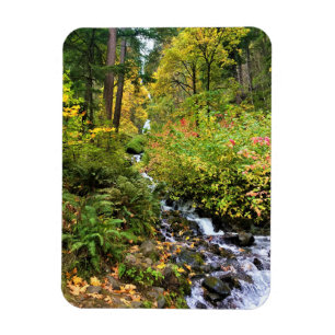 Íman Wahkeena Falls, Columbia River Gorge, Oregon