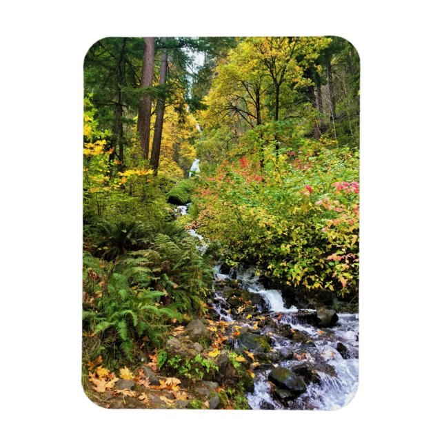 Íman Wahkeena Falls, Columbia River Gorge, Oregon (Vertical)