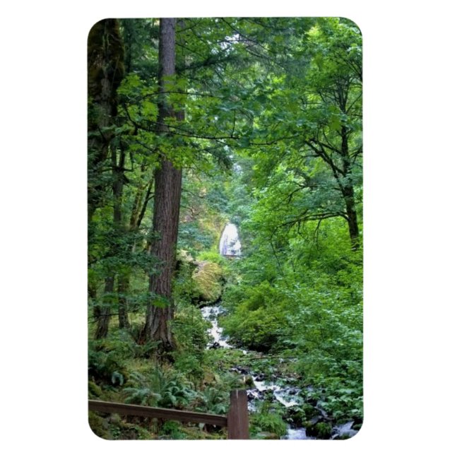 Íman Wahkeena Falls, OU (Vertical)