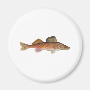 Íman Walleye