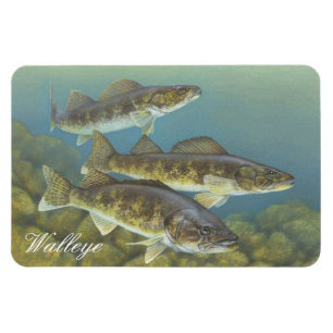 Íman Walleye Painting Magnet