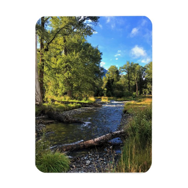 Íman Wallowa Lake State Park, OR (Vertical)