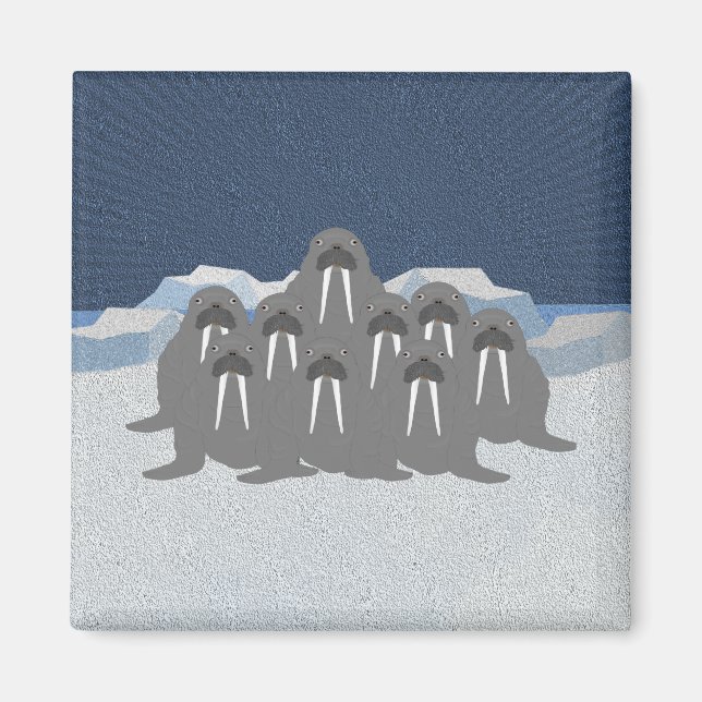 Íman Walrus Magnet (Frente)
