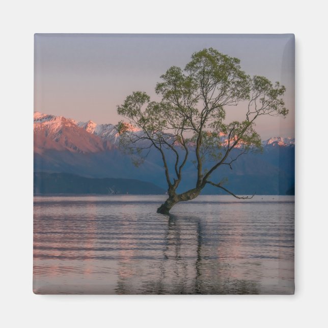 Íman Wanaka Tree, Magnet Nova Zelândia (Frente)