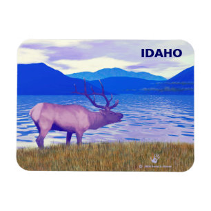 Íman Wapiti (Elk) Pelo Lago