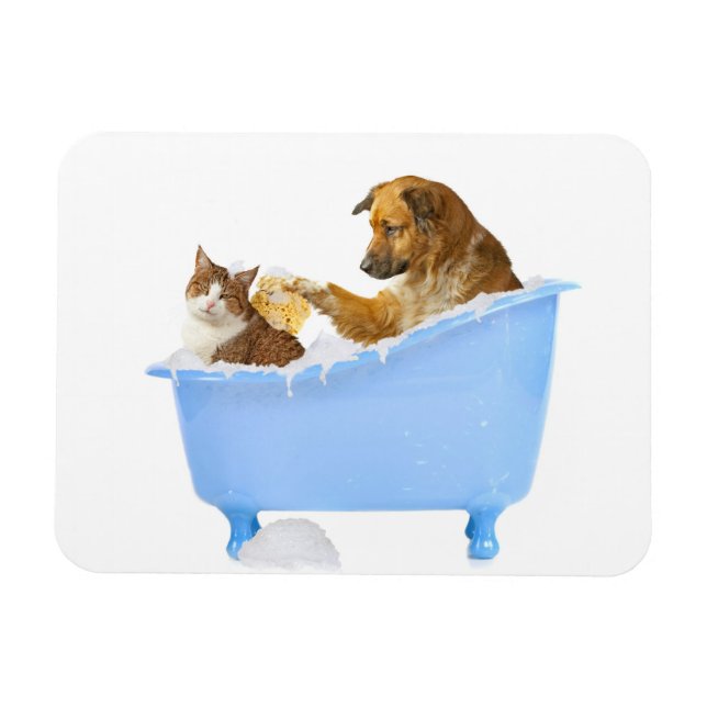 Íman Wash de Gato (Horizontal)