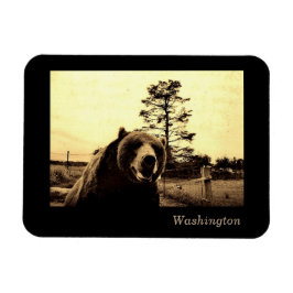 Íman Washington