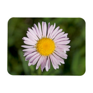 Íman Washington, Cascade Range, Monte Baker