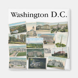 Íman Washington DC: Cartões postais venenosos Souvenir