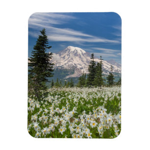 Íman Washington, Parque Nacional Mount Rainier 1