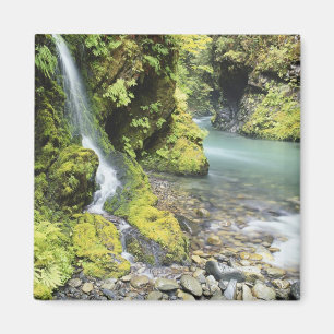 Íman Washington, Parque Nacional Olímpico, Sazonal