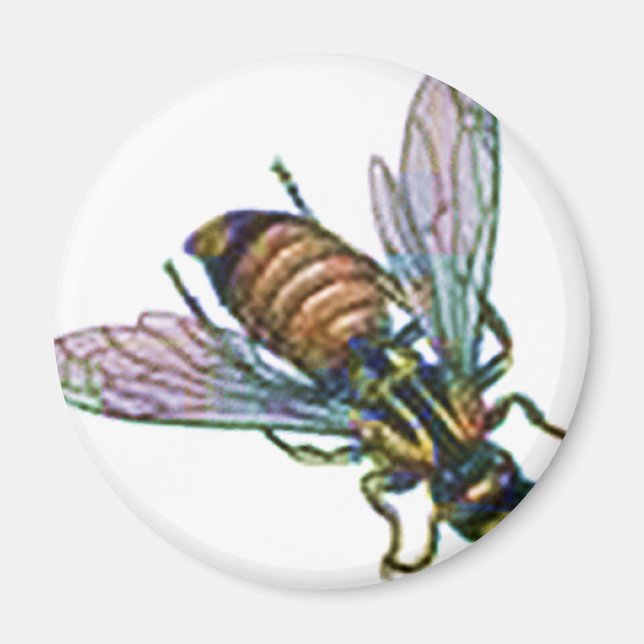 Íman Wasp ou Hornet (Frente)