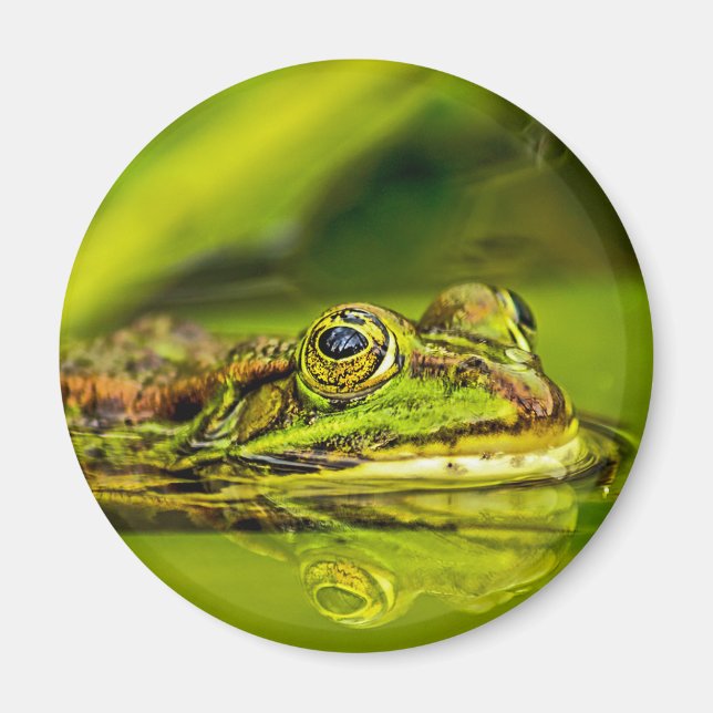 Íman water frog (Frente)