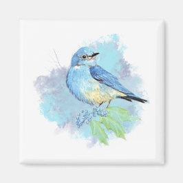 Íman Watercolor Bluebird Pretty Blue Garden Bird Art