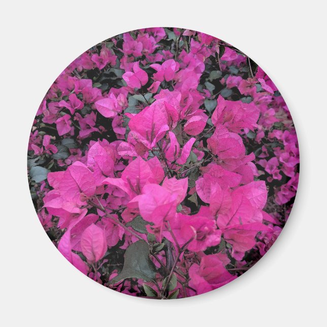 Íman Watercolor-Bougainvillea (Frente)