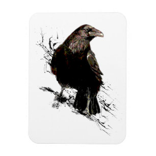Íman Watercolor Raven Bird Art
