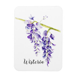 Íman Watercolor Wisteria Botanical