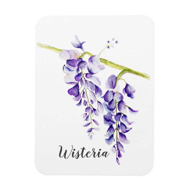 Íman Watercolor Wisteria Botanical (Vertical)