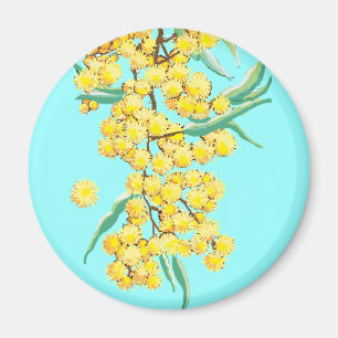 Íman Wattle australiano