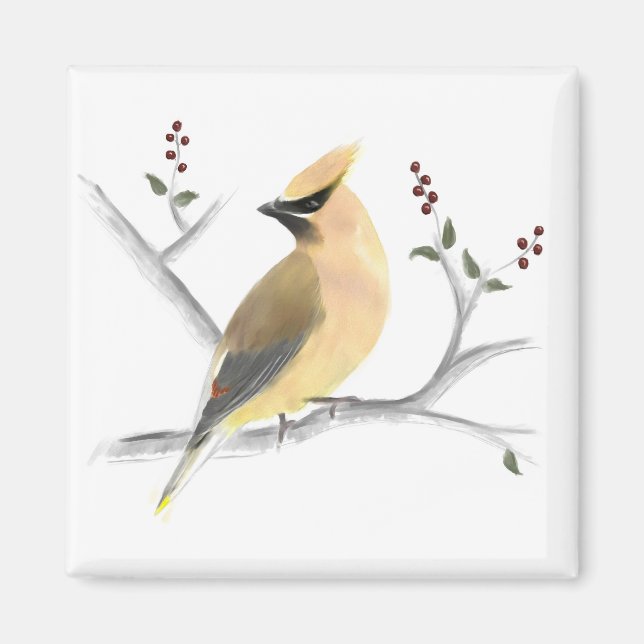 Íman Waxwing Magnet Cedar Watercolor (Frente)