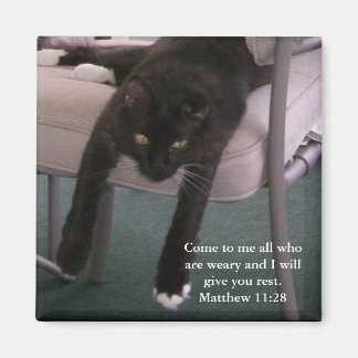 Íman Weary Mr B Magnet