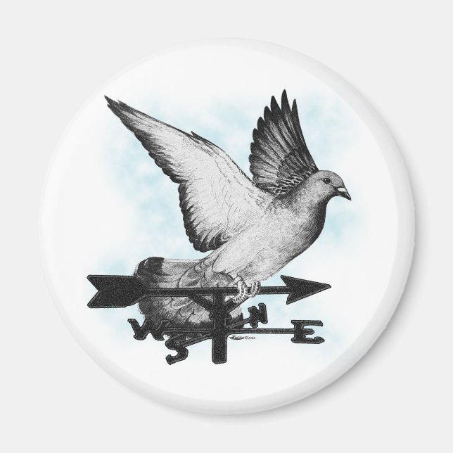 Íman Weathervane Homer2 (Frente)