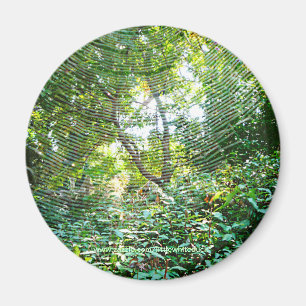 Íman Web de aranha da esfera - ímã