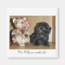 Íman WEEWILLY vs 4 polegadasBB-1, Wee Willy com 2 seman