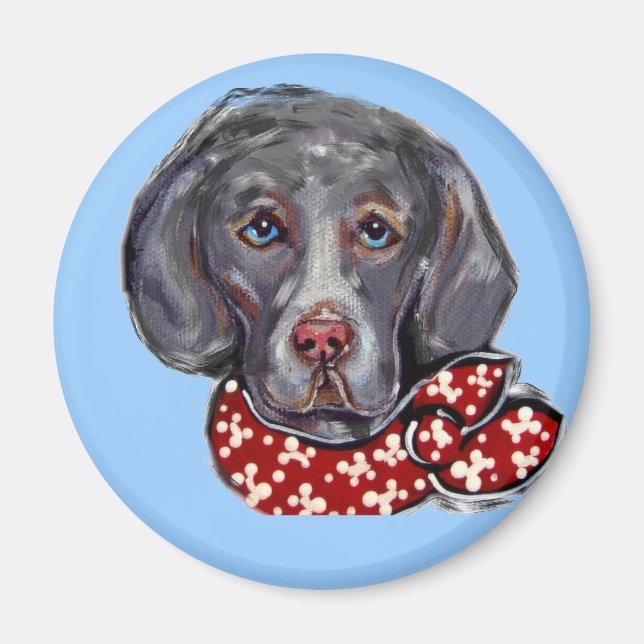 Íman Weimaraner (Frente)
