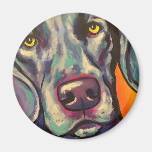 Íman weimaraner