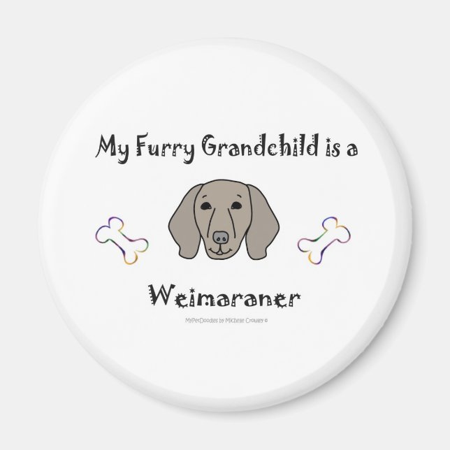 Íman Weimaraner (Frente)