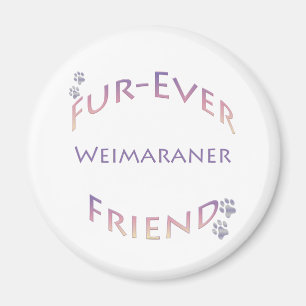 Íman Weimaraner Fuever Amigo