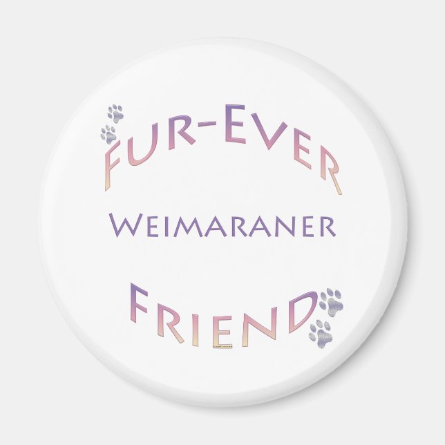 Íman Weimaraner Fuever Amigo (Frente)