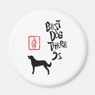 Íman Weimaraner Longo-Revestido