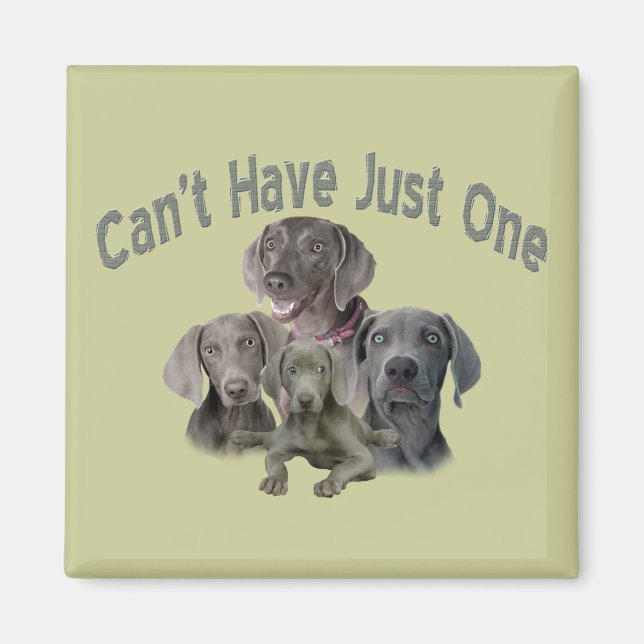 Íman Weimaraner não pode ter apenas um (Frente)