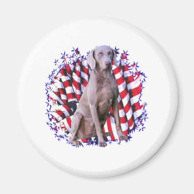 Íman Weimaraner Patriot (Frente)