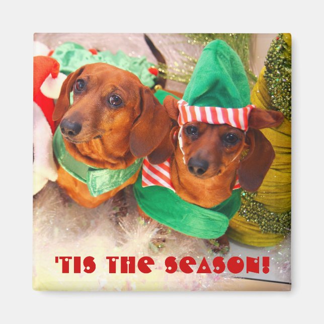 Íman Weiner Dog Christmas Elf (Frente)