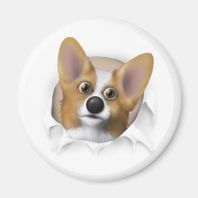Íman Welsh Corgi 1 Busting Out (Frente)