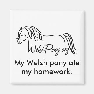 Íman Welsh Pony & Cob Society of America